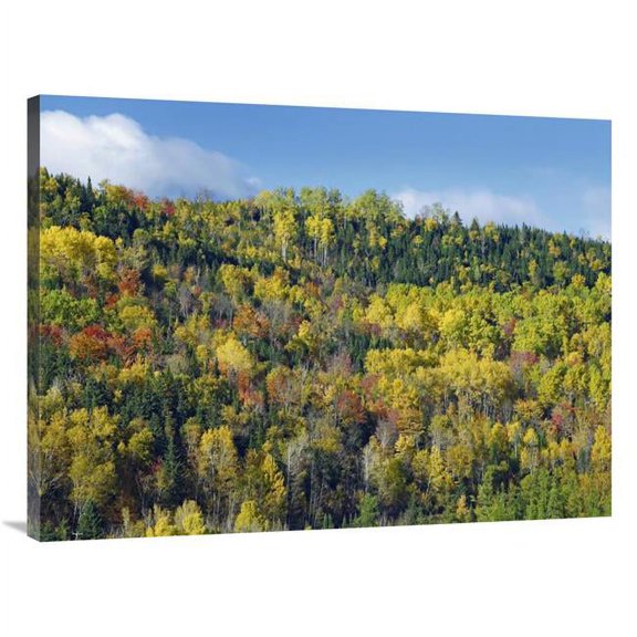 Global Gallery  30 x 40 in. Fall Colors - Chic-Chocs - Quebec - Canada Art Print - Tim Fitzharris