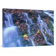 thumbnail image 1 of Global Gallery  Laurel Creek Cascades - Great Smoky Mountains National Park - Tennessee Art Print - Tim Fitzharris, 1 of 1