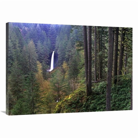 Global Gallery  30 x 40 in. North Falls - Silver Falls State Park Near Salem - Oregon Art Print - Tim Fitzharris