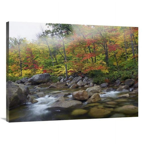 Global Gallery 30 x 40 in. Swift River Flowing Through Fall Colored Forest - White Mountains National Forest - New Hampshire Art Print - Tim Fitzharris
