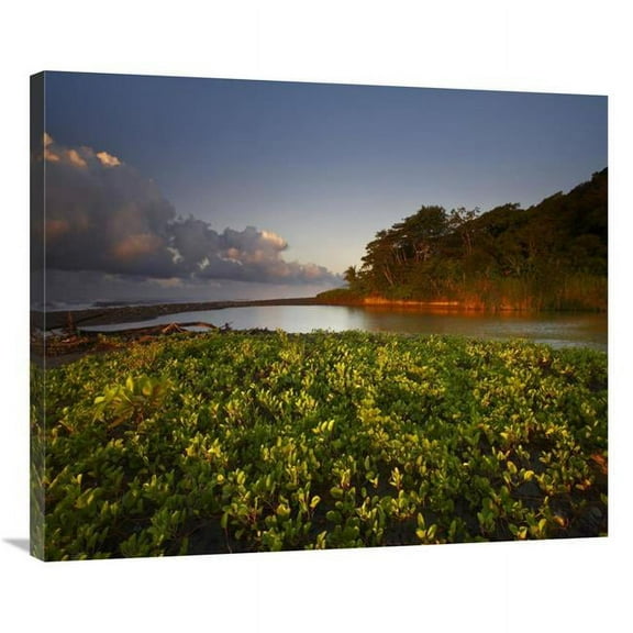 Global Gallery  36 in. Lagoon Near Coastline - Corcovado National Park - Costa Rica Art Print - Tim Fitzharris