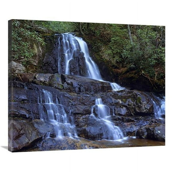Global Gallery  36 in. Waterfall - Laurel Creek - Great Smoky Mountains National Park - Tennessee Art Print - Tim Fitzharris