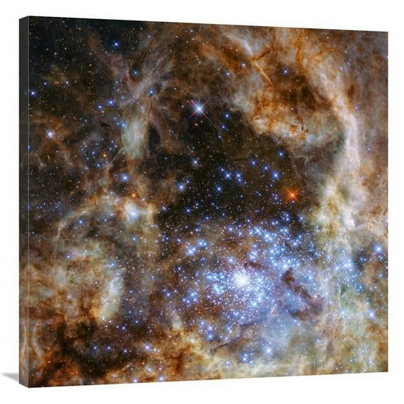 Global Gallery 36 x 36 in. Star Cluster R136 Art Print - NASA