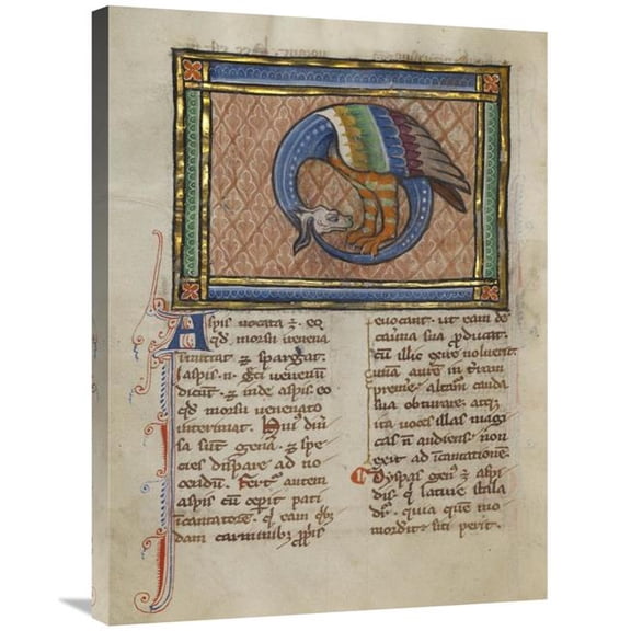 Global Gallery  A Dragon-like Snake Art Print - Franco-Flemish 13th Century