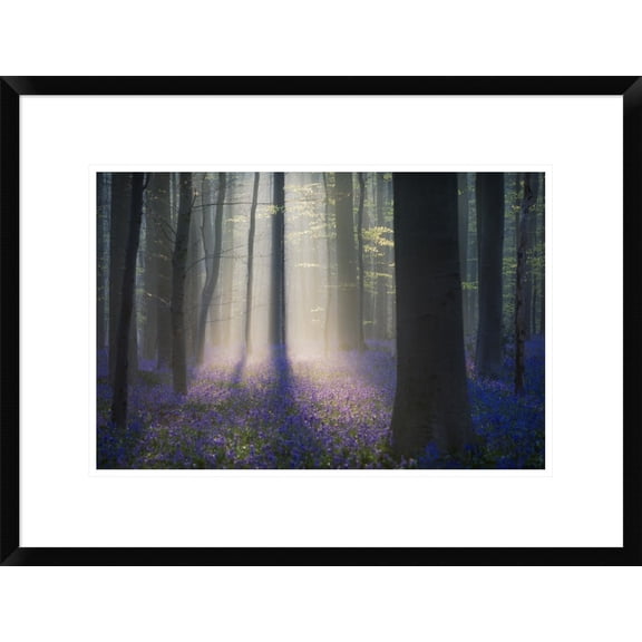 Global Gallery Adrian Popan 'Velvet Light' Framed Wall Art