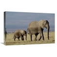 thumbnail image 1 of Global Gallery  African Elephant Mother & Calf - Kenya Art Print - Tim Fitzharris, 1 of 1