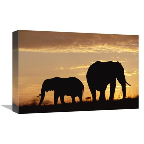 Global Gallery  African Elephant Mother & Calf Silhouetted at Sunset - Kenya Art Print - Tim Fitzharris