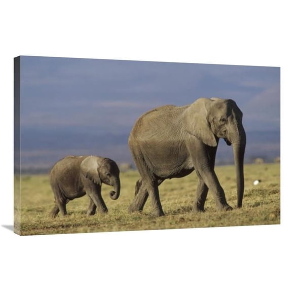 Global Gallery African Elephant Mother Leading Calf - Kenya Art Print - Tim Fitzharris - 24in. x 36in.