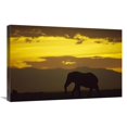 thumbnail image 1 of Global Gallery  African Elephant Silhouetted At Sunset - Amboseli National Park - Kenya Art Print - Gerry Ellis, 1 of 1