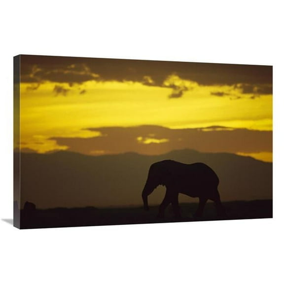 Global Gallery  African Elephant Silhouetted At Sunset - Amboseli National Park - Kenya Art Print