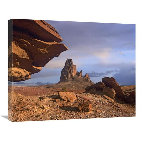 Global Gallery Agathla Peak - the Basalt Core of An Extinct Volcano - Monument Valley - Arizona Art Print - Tim Fitzharris