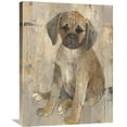 thumbnail image 1 of Global Gallery Albena Hristova 'Paco' Canvas Wall Art, 1 of 4