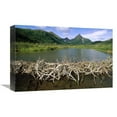 thumbnail image 1 of Global Gallery  American Beaver Dam - Silver Horn Creek - Wood-Tikchik State Park - Alaska Art Print - Gerry Ellis, 1 of 1