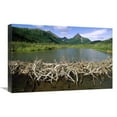 thumbnail image 1 of Global Gallery  American Beaver Dam - Silver Horn Creek - Wood-Tikchik State Park - Alaska Art Print - Gerry Ellis, 1 of 1
