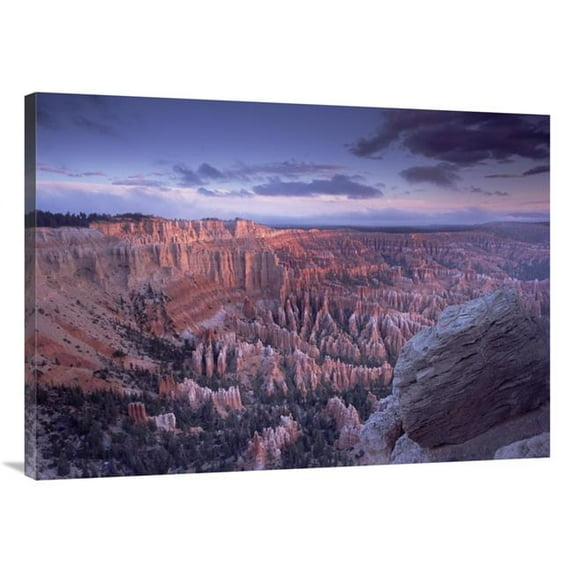 Global Gallery Amphitheater From Bryce Point - Bryce Canyon National Park - Utah Art Print - Tim Fitzharris