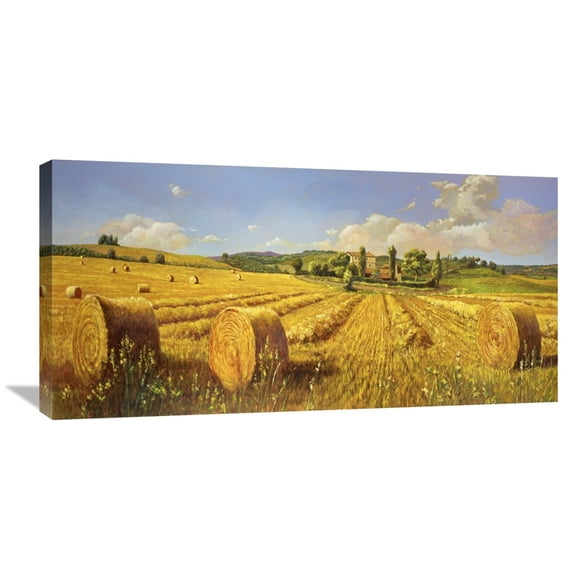 Global Gallery Andrea Del Missier,'Campo in Toscana' Stretched Canvas Artwork