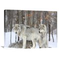 thumbnail image 1 of Global Gallery Anonymous 'Grey wolves huddle together during a snowstorm, Quebec' Canvas Wall Art, 1 of 4