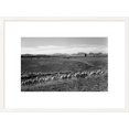 thumbnail image 1 of Global Gallery Ansel Adams 'Flock in Owens Valley, California, 1941' Framed Wall Art, 1 of 4