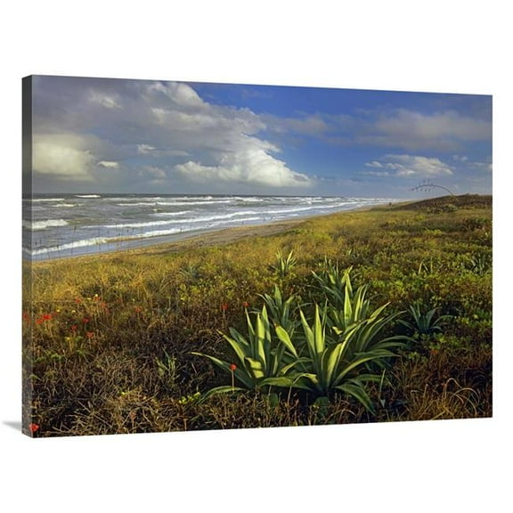 Global Gallery Apollo Beach at Canaveral National Seashore - Florida Art Print - Tim Fitzharris