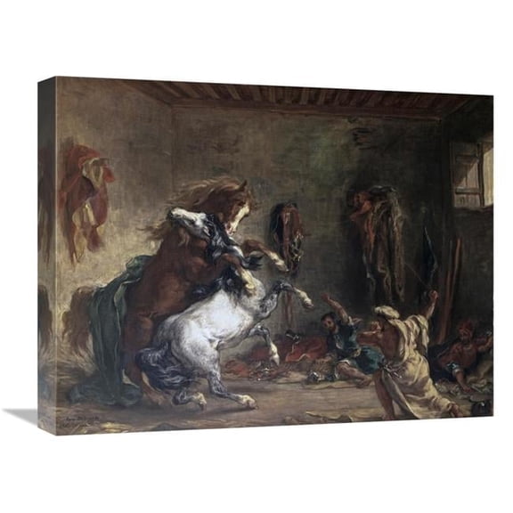 Global Gallery  Arabian Horses Fighting in a Stable Art Print