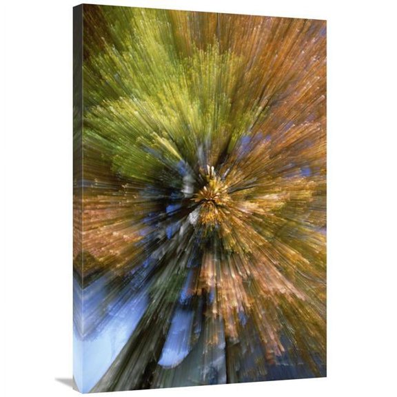 Global Gallery Autumn Foliage - Abstract Art Print - Konrad Wothe