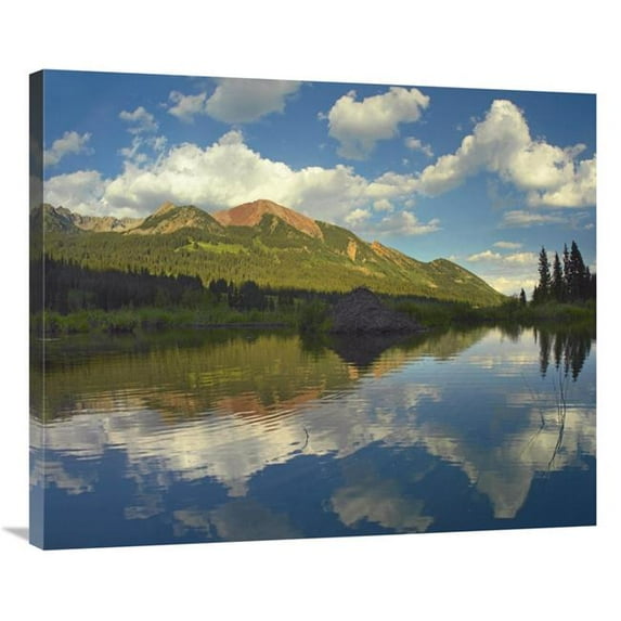 Global Gallery Avery Peak Reflected in Beaver Pond - San Juan Mountains - Colorado Art Print - Tim Fitzharris
