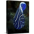 thumbnail image 1 of Global Gallery Barathieu Gabriel,'Emperor Angelfish' Stretched Canvas Artwork, 1 of 3