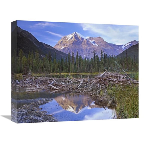 Global Gallery Beaver Dam & Mount Robson - Mount Robson Provincial Park - BC - Canada Art Print - Tim Fitzharris