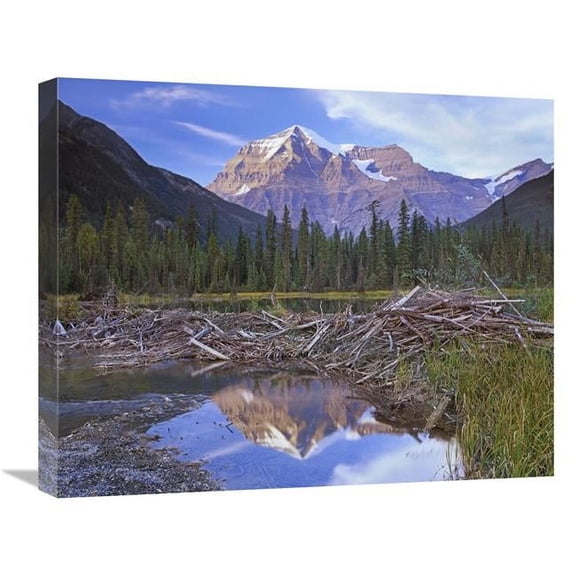 Global Gallery Beaver Dam & Mount Robson - Mount Robson Provincial Park - BC - Canada Art Print - Tim Fitzharris