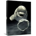 thumbnail image 1 of Global Gallery  Beluga Whale Blowing Toroidal Bubble Ring - Shimane Aquarium - Japan Art Print - Hiroya Minakuchi, 1 of 1