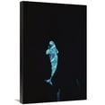 thumbnail image 1 of Global Gallery  Beluga Whale Portrait At 200 ft. Depth - Lancaster Sound - Nunavut - Canada Art Print, 1 of 1