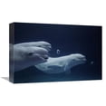 thumbnail image 1 of Global Gallery  Beluga Whale Trio Blowing Toroidal Bubble Rings - Shimane Aquarium - Japan Art Print - Hiroya Minakuchi, 1 of 1
