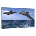 thumbnail image 1 of Global Gallery  Bottlenose Dolphin Pair Leaping - Honduras Art Print - Konrad Wothe, 1 of 1