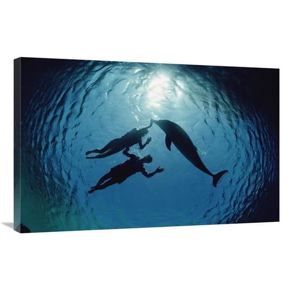 Global Gallery  Bottlenose Dolphin Silhouetted with Two Swimmers - Hawaii Art Print - Flip Nicklin