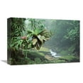 thumbnail image 1 of Global Gallery  Bromeliads Growing Along Stream in Bocaina National Park - Atlantic Forest - Brazil Art Print - Tui De Roy, 1 of 1