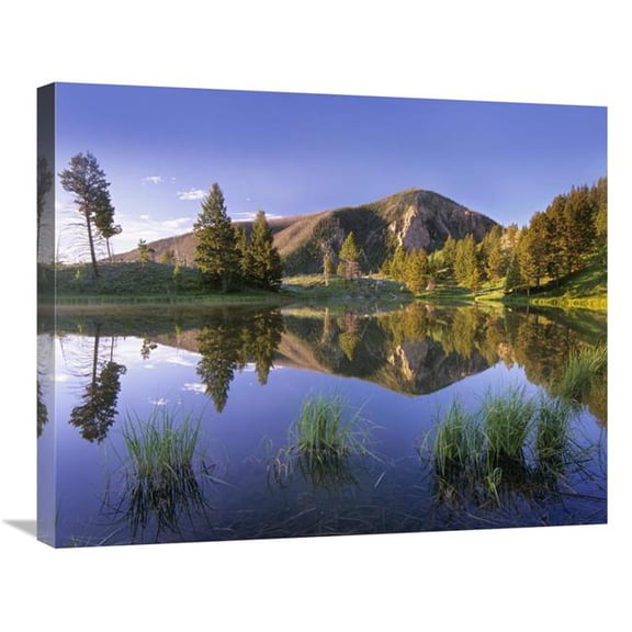 Global Gallery Bunsen Peak Reflected in Lake - Yellowstone National Park - Wyoming Art Print - Tim Fitzharris