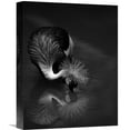 thumbnail image 1 of Global Gallery C.S. Tjandra,'The Reflection' Stretched Canvas Artwork, 1 of 3