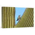 thumbnail image 1 of Global Gallery  Cactus Wren Perched on Saguaro Cactus - Arizona Art Print - Tom Vezo, 1 of 1