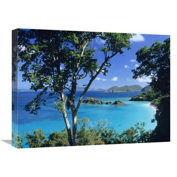 Global Gallery  Caribbean Seen Through Trees - Virgin Islands National Park Art Print - Tim Fitzharris