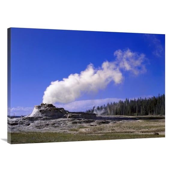 Global Gallery Castle Geyser - Yellowstone National Park - Wyoming Art Print - Tim Fitzharris