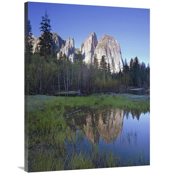 Global Gallery Cathedral Rock Reflected in the Merced River - Yosemite NP - California Art Print - Tim Fitzharris