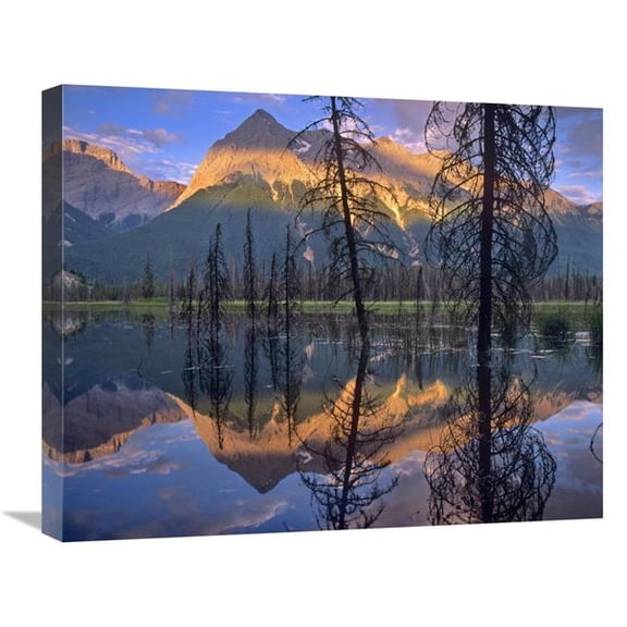 Global Gallery  Chancellor Peak Reflected in Lake - Yoho National Park - BC - Canada Art Print - Tim Fitzharris