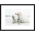 thumbnail image 1 of Global Gallery Ciro De Simone 'Horses Hight Key' Framed Wall Art, 1 of 4