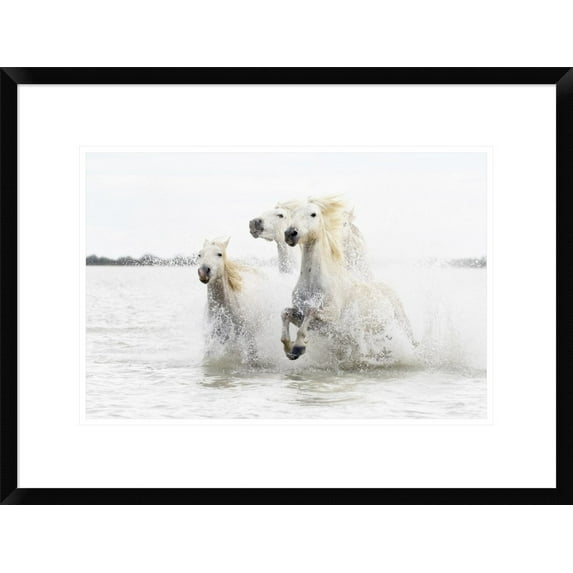 Global Gallery Ciro De Simone 'Horses Hight Key' Framed Wall Art