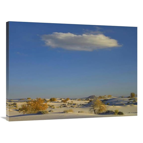Global Gallery Cloud Over White Sands National Monument - Chihuahuan Desert - New Mexico Art Print - Tim Fitzharris