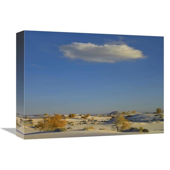 Global Gallery Cloud Over White Sands National Monument - Chihuahuan Desert - New Mexico Art Print - Tim Fitzharris