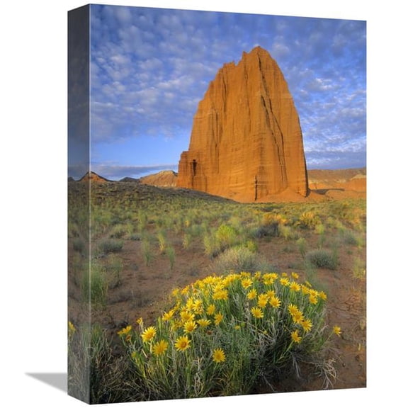 Global Gallery  Common Sunflowers & Temple of the Sun - Capitol Reef NP - Utah Art Print - Tim Fitzharris
