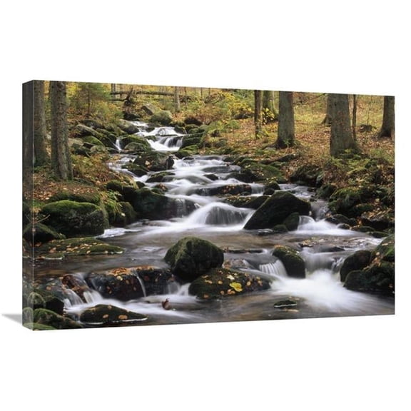 Global Gallery Creek Cascading Through Autumn Forest - Bayerischer Wald NP - Germany Art Print - Konrad Wothe