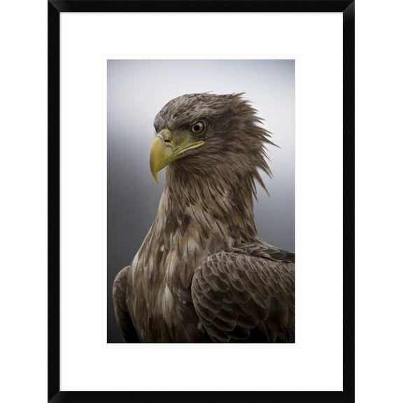 Global Gallery Csaba Tokolyi 'The Elderly' Framed Wall Art