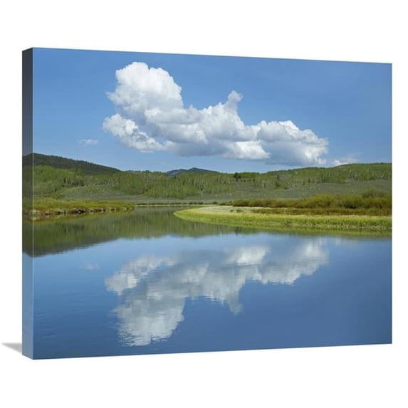 Global Gallery Cumulus Clouds Over Green River - Bridger-Teton National Forest - Wyoming Art Print - Tim Fitzharris